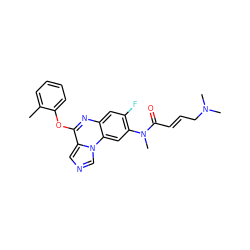 Cc1ccccc1Oc1nc2cc(F)c(N(C)C(=O)/C=C/CN(C)C)cc2n2cncc12 ZINC000073142029