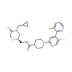 Cc1cccnc1-c1cc(N2CCC(C(=O)NC[C@@H]3CN(CC4CC4)C(=O)CO3)CC2)ncc1Cl ZINC000146842551