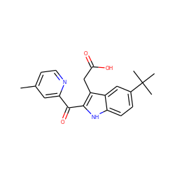 Cc1ccnc(C(=O)c2[nH]c3ccc(C(C)(C)C)cc3c2CC(=O)O)c1 ZINC000082155105