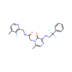 Cc1ccnc(CNC(=O)Cn2c(C)cnc(NCC(F)(F)c3ccccc3)c2=O)c1F ZINC000013493144