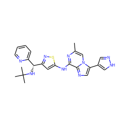 Cc1cn2c(-c3cn[nH]c3)cnc2c(Nc2cc([C@H](NC(C)(C)C)c3ccccn3)ns2)n1 ZINC000068249913