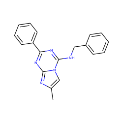 Cc1cn2c(NCc3ccccc3)nc(-c3ccccc3)nc2n1 ZINC000013491997