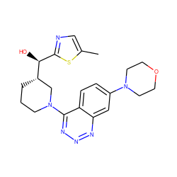 Cc1cnc([C@H](O)[C@H]2CCCN(c3nnnc4cc(N5CCOCC5)ccc34)C2)s1 ZINC000148322394