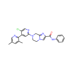 Cc1cnc(-c2cc(N3CCn4cc(C(=O)Nc5ccccc5)nc4C3)ncc2Cl)c(C)c1 ZINC000149867972