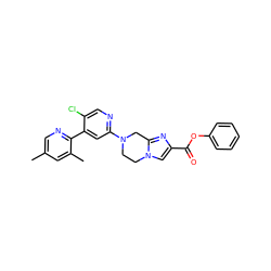 Cc1cnc(-c2cc(N3CCn4cc(C(=O)Oc5ccccc5)nc4C3)ncc2Cl)c(C)c1 ZINC000169342760