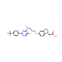 Cc1cnc(-c2ccc(C(C)(C)C)cc2)nc1N(C)CCCOc1ccc2c(c1)CC[C@H]2CC(=O)O ZINC000028891492