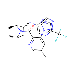 Cc1cnc(C(=O)N2[C@H]3CC[C@H]2[C@H](Nc2cnc(C(F)(F)F)cn2)C3)c(-n2ccnn2)c1 ZINC000221048922