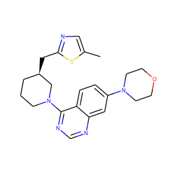 Cc1cnc(C[C@@H]2CCCN(c3ncnc4cc(N5CCOCC5)ccc34)C2)s1 ZINC000199435521