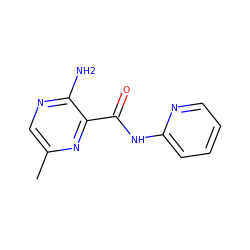 Cc1cnc(N)c(C(=O)Nc2ccccn2)n1 ZINC000028347925