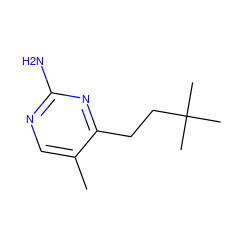 Cc1cnc(N)nc1CCC(C)(C)C ZINC000653717533