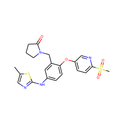 Cc1cnc(Nc2ccc(Oc3ccc(S(C)(=O)=O)nc3)c(CN3CCCC3=O)c2)s1 ZINC000167824763