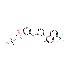 Cc1cnc2c(C(F)(F)F)cccc2c1-c1cccc(Oc2cccc(S(=O)(=O)CCC(C)(C)O)c2)c1 ZINC000049767771