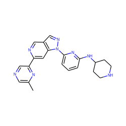 Cc1cncc(-c2cc3c(cn2)cnn3-c2cccc(NC3CCNCC3)n2)n1 ZINC000211055984