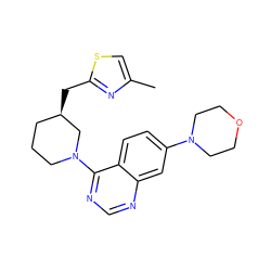 Cc1csc(C[C@@H]2CCCN(c3ncnc4cc(N5CCOCC5)ccc34)C2)n1 ZINC000199435805