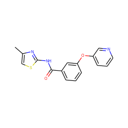 Cc1csc(NC(=O)c2cccc(Oc3cccnc3)c2)n1 ZINC000096939163