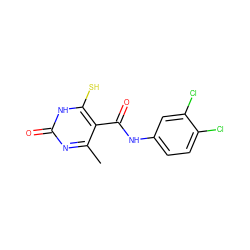 Cc1nc(=O)[nH]c(S)c1C(=O)Nc1ccc(Cl)c(Cl)c1 ZINC000004473068