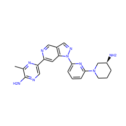 Cc1nc(-c2cc3c(cn2)cnn3-c2cccc(N3CCC[C@H](N)C3)n2)cnc1N ZINC000224853681