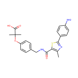 Cc1nc(-c2ccc(N)cc2)sc1C(=O)NCc1ccc(OC(C)(C)C(=O)O)cc1 ZINC000038151294