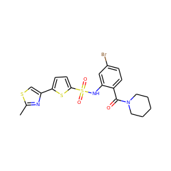 Cc1nc(-c2ccc(S(=O)(=O)Nc3cc(Br)ccc3C(=O)N3CCCCC3)s2)cs1 ZINC000028969369