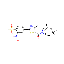 Cc1nc(-c2ccc(S(C)(=O)=O)c([N+](=O)[O-])c2)sc1C(=O)N1C[C@@]2(C)C[C@H]1CC(C)(C)C2 ZINC000101521955