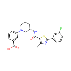 Cc1nc(-c2cccc(Cl)c2)sc1C(=O)N[C@H]1CCCN(c2cccc(C(=O)O)c2)C1 ZINC000073224221