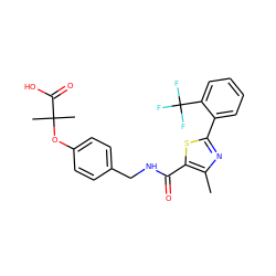 Cc1nc(-c2ccccc2C(F)(F)F)sc1C(=O)NCc1ccc(OC(C)(C)C(=O)O)cc1 ZINC000035246717