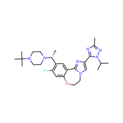 Cc1nc(-c2cn3c(n2)-c2cc([C@@H](C)N4CCN(C(C)(C)C)CC4)c(F)cc2OCC3)n(C(C)C)n1 ZINC000204419393