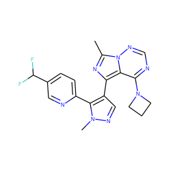 Cc1nc(-c2cnn(C)c2-c2ccc(C(F)F)cn2)c2c(N3CCC3)ncnn12 ZINC000169697388