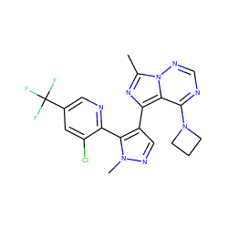 Cc1nc(-c2cnn(C)c2-c2ncc(C(F)(F)F)cc2Cl)c2c(N3CCC3)ncnn12 ZINC000169697366