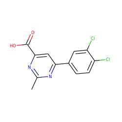 Cc1nc(C(=O)O)cc(-c2ccc(Cl)c(Cl)c2)n1 ZINC000011729784