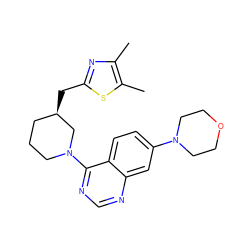 Cc1nc(C[C@@H]2CCCN(c3ncnc4cc(N5CCOCC5)ccc34)C2)sc1C ZINC000199431595