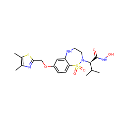 Cc1nc(COc2ccc3c(c2)NCCN([C@@H](C(=O)NO)C(C)C)S3(=O)=O)sc1C ZINC000013518165