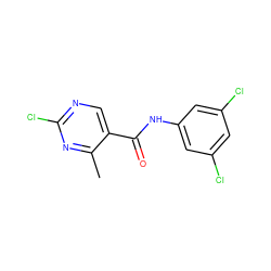 Cc1nc(Cl)ncc1C(=O)Nc1cc(Cl)cc(Cl)c1 ZINC000299818932