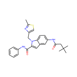 Cc1nc(Cn2c(C(=O)Nc3ccccc3)cc3cc(NC(=O)CC(C)(C)C)ccc32)cs1 ZINC000028526790