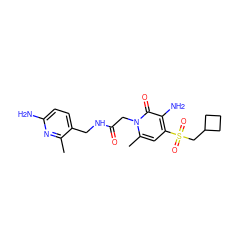 Cc1nc(N)ccc1CNC(=O)Cn1c(C)cc(S(=O)(=O)CC2CCC2)c(N)c1=O ZINC000013489224