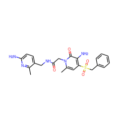 Cc1nc(N)ccc1CNC(=O)Cn1c(C)cc(S(=O)(=O)Cc2ccccc2)c(N)c1=O ZINC000013489217