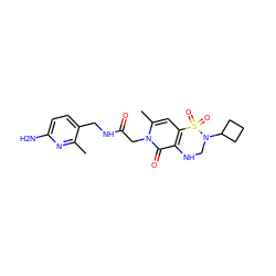 Cc1nc(N)ccc1CNC(=O)Cn1c(C)cc2c(c1=O)NCN(C1CCC1)S2(=O)=O ZINC000013489230