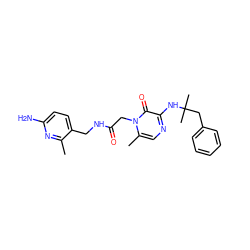 Cc1nc(N)ccc1CNC(=O)Cn1c(C)cnc(NC(C)(C)Cc2ccccc2)c1=O ZINC000013781856