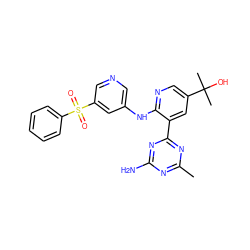 Cc1nc(N)nc(-c2cc(C(C)(C)O)cnc2Nc2cncc(S(=O)(=O)c3ccccc3)c2)n1 ZINC000113235292