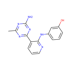 Cc1nc(N)nc(-c2cccnc2Nc2cccc(O)c2)n1 ZINC000095553289