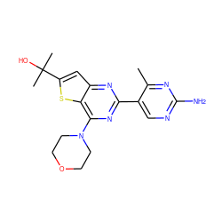 Cc1nc(N)ncc1-c1nc(N2CCOCC2)c2sc(C(C)(C)O)cc2n1 ZINC000049112903