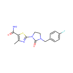 Cc1nc(N2CCN(Cc3ccc(F)cc3)C2=O)sc1C(N)=O ZINC000103233532