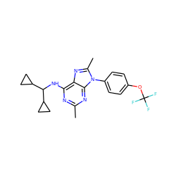 Cc1nc(NC(C2CC2)C2CC2)c2nc(C)n(-c3ccc(OC(F)(F)F)cc3)c2n1 ZINC000068196712