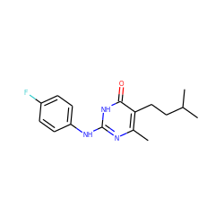 Cc1nc(Nc2ccc(F)cc2)[nH]c(=O)c1CCC(C)C ZINC000017781355