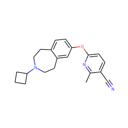 Cc1nc(Oc2ccc3c(c2)CCN(C2CCC2)CC3)ccc1C#N ZINC000103243316