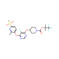 Cc1nc(S(C)(=O)=O)ccc1Oc1ncnc(OC2CCN(C(=O)OC(C)(C)C(F)(F)F)CC2)c1F ZINC000299825640