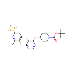 Cc1nc(S(C)(=O)=O)ccc1Oc1ncnc(OC2CCN(C(=O)OC(C)(C)C)CC2)c1F ZINC000216672862