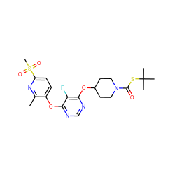 Cc1nc(S(C)(=O)=O)ccc1Oc1ncnc(OC2CCN(C(=O)SC(C)(C)C)CC2)c1F ZINC000299825344