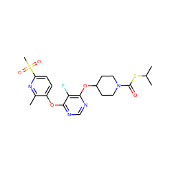 Cc1nc(S(C)(=O)=O)ccc1Oc1ncnc(OC2CCN(C(=O)SC(C)C)CC2)c1F ZINC000299826491