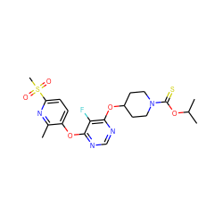 Cc1nc(S(C)(=O)=O)ccc1Oc1ncnc(OC2CCN(C(=S)OC(C)C)CC2)c1F ZINC000299831861